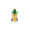Small Insects - Madagascar Beetle