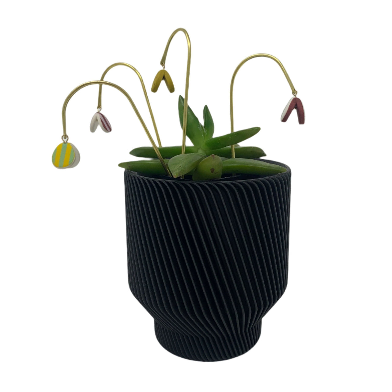 Plant Butterfly