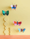 Small Insects - Speckled Copper Butterfly