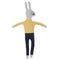 Stuffed Rabbit