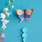 Small Insects - Gold Rim Butterfly