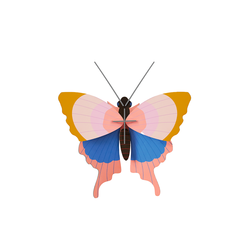 Small Insects - Gold Rim Butterfly