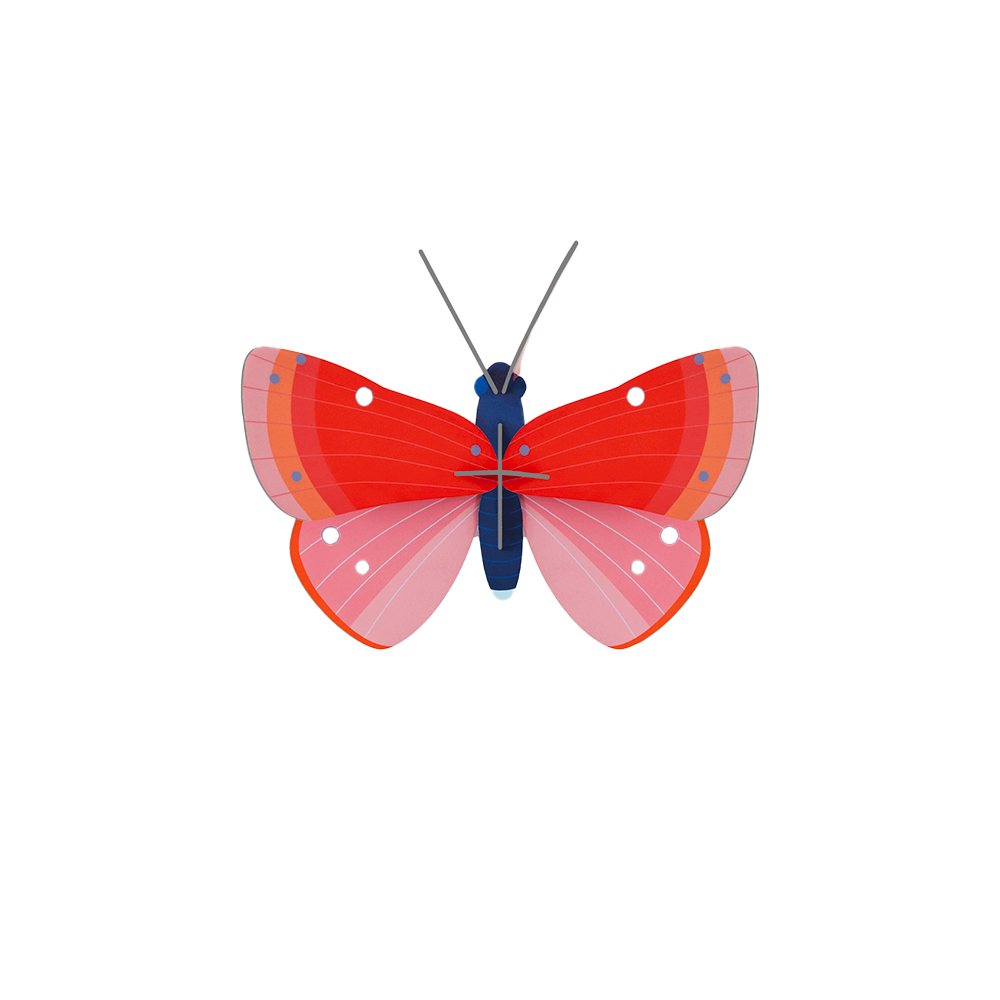 Small Insects - Speckled Copper Butterfly
