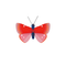 Small Insects - Speckled Copper Butterfly