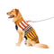 Dog Sweater