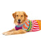 Dog Sweater