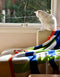 Knit Throw - Color Weave - Royal Blue