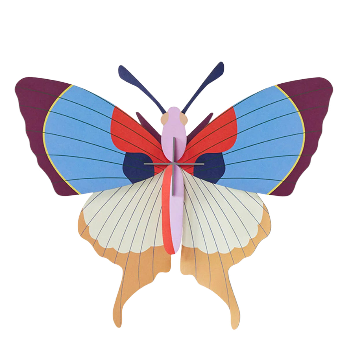 Plum Fringe Butterfly