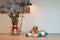 Dog Bed