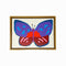 Framed Painting - My Butterfly Friend