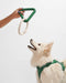 Triangle Tug Dog Chew Toy - Spruce/Large
