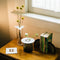 Anywhere Vases - White
