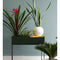 Plant Box Dark Grey