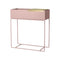 metal indoor outdoor garden succulent fixture furniture