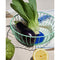 Iris Wire Basket - Large Mint