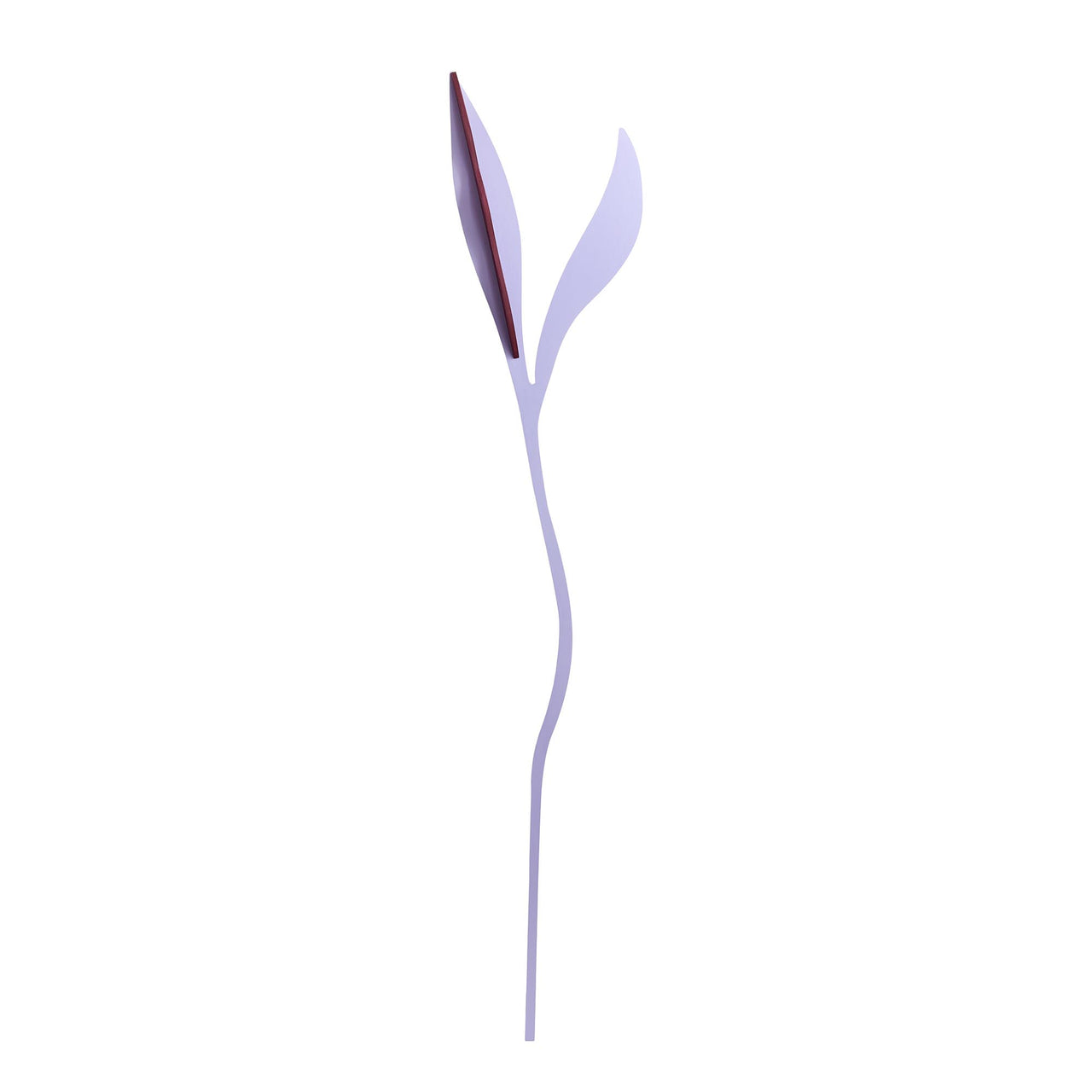 Wall Flower