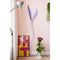 Wall Flower
