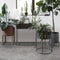 Plant Box Tea Green