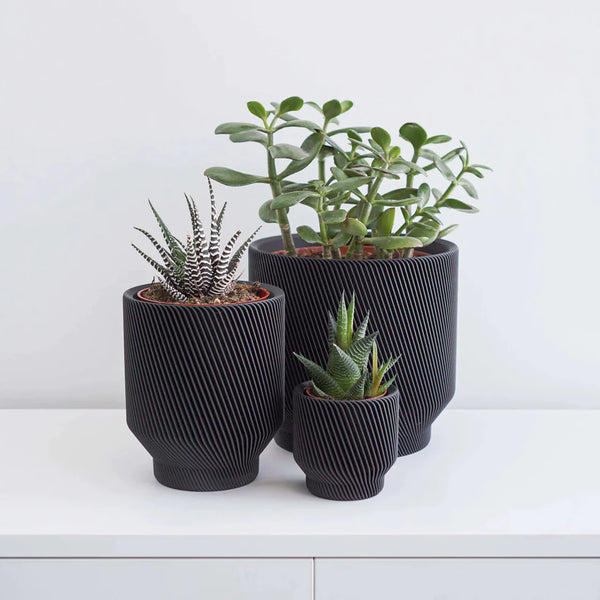 Plants, Pots, and Planters