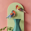 Birds - Robins