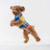 Dog Sweater- Patchwork Stripe
