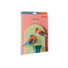 Birds - Robins