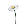 3D Flower - Daisy