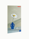 3D Flower Large - Daisy