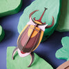 Small Insects - Elephant Beetle