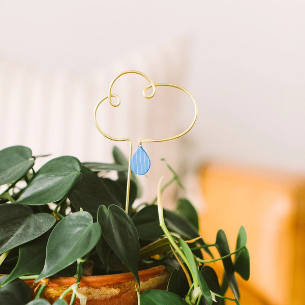 Plant Charm - Drip Drop