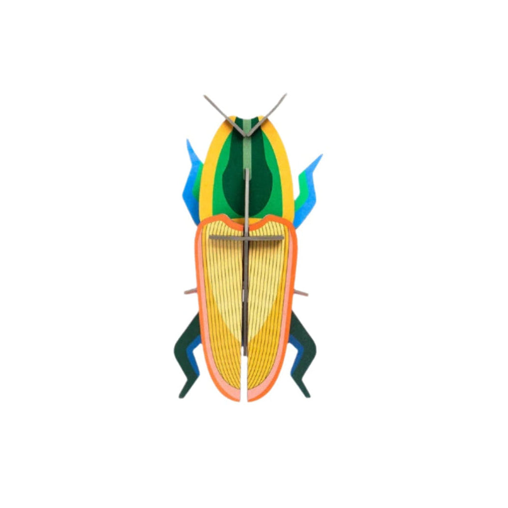 Small Insects - Madagascar Beetle