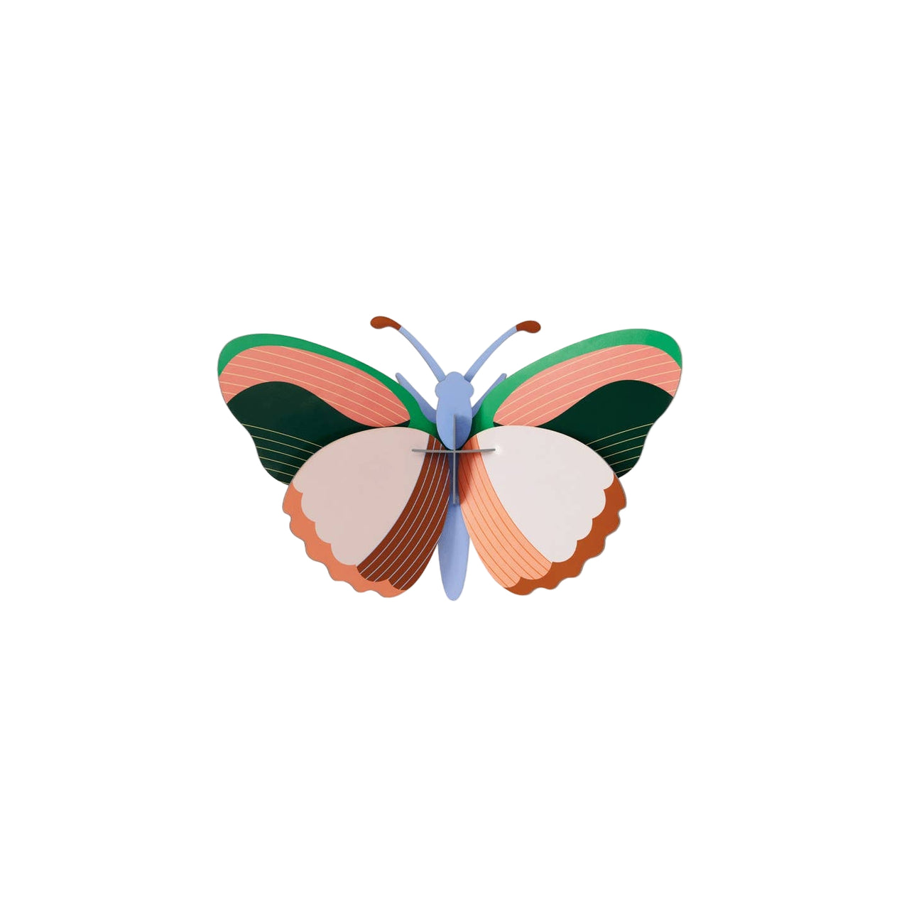 Butterfly - Sycamore