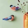 Birds - Finches