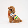 Dog Sweater- Patchwork Stripe