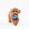 Dog Sweater- Patchwork Stripe