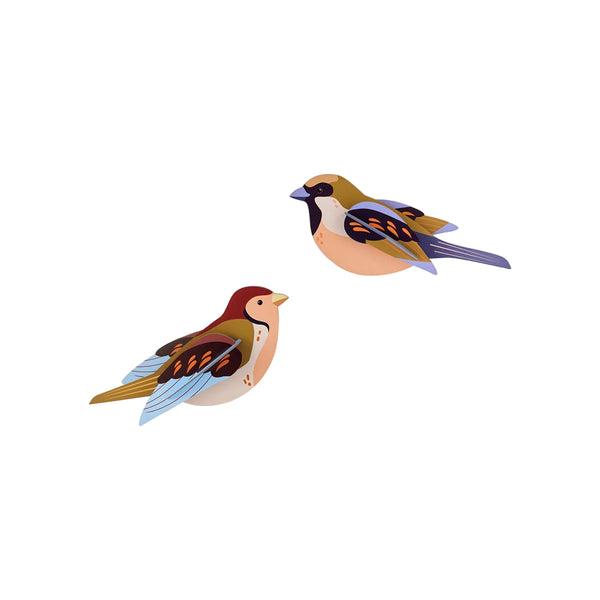Two colorful birds on a white background