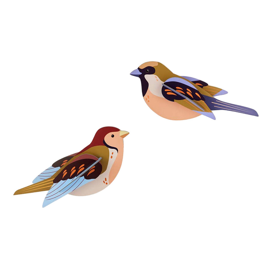 Two colorful birds on a white background