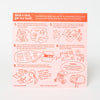 Write Me Back Pen Pal Kit - Cat's Meow