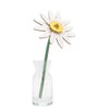 3D Flower Small - Meadow Daisy