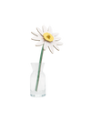 3D Small Everlasting Flower - Meadow Daisy