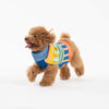 Dog Sweater- Patchwork Stripe