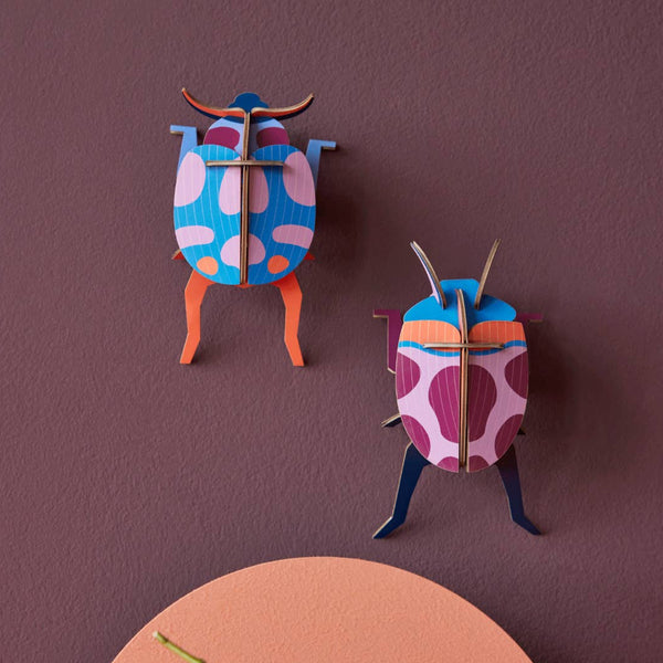 Small Insect - Coccinelle Couple