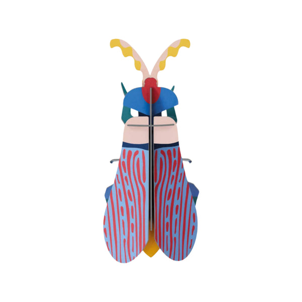 Small Insect - Striped Wing Beetle