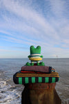 Frederic Frog - Wee One