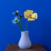 3D Small Everlasting Flower - Golden Poppy