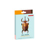 Small Insects - Elephant Beetle