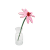 3D Small Everlasting Flower - Pink Coneflower