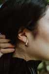 Silva hoops