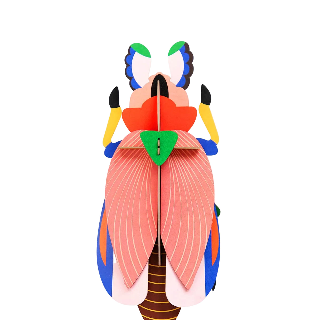 Beetle - Giant Lady Beetle