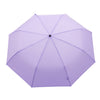 Umbrella- Lilac